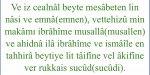 24FD8B8D-5425-4240-8E85-88DD5435F873.jpeg