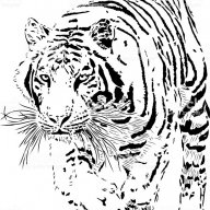 kaplan12