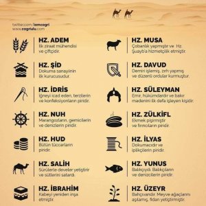 peygamberler ve  meslekleri