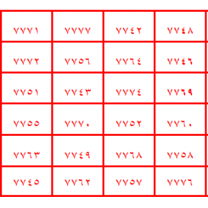 6 lı Vefk
